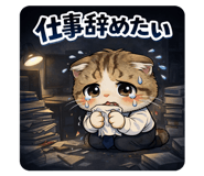816495816