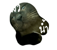 816502376
