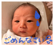 816511220