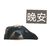 816535468