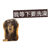 816535475