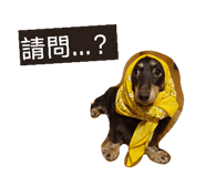 816535479