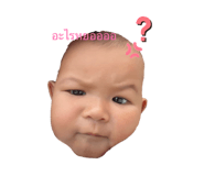 816539516
