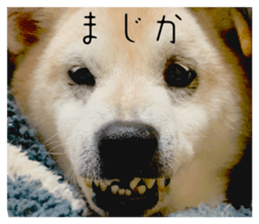 816548512