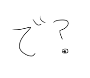 816550294