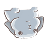 816550971