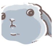 816550975