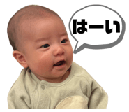 816574436