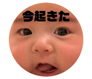 816574440
