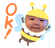 816581949