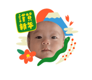 816582085
