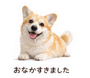 816583034
