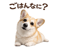816583042