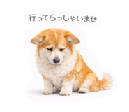816583045