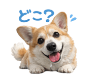 816583046
