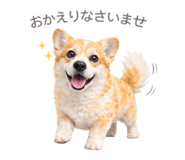 816583048