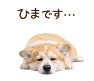 816583050