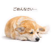 816583052