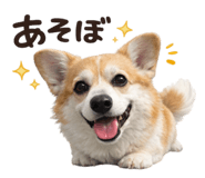 816583054