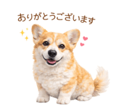 816583056