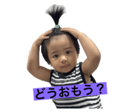 816583127
