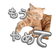 816589909
