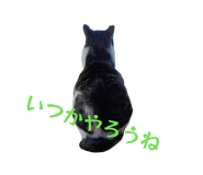816589912