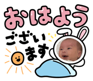 816621493