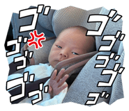816621495