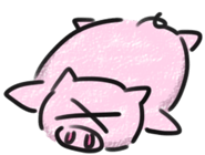 816651496