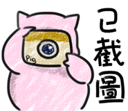 816651497