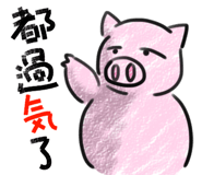 816651504