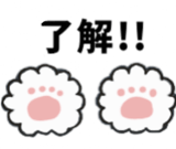 816656590
