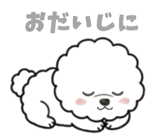 816656591