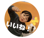 816665549