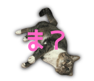 816666903