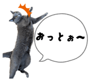 816669202