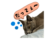 816669206