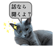 816669208