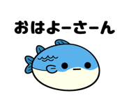 816682129