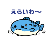 816682142