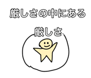 816691145