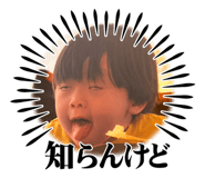 816692081