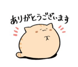 816698314
