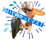 816698969