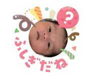 816708192