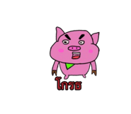 816711349