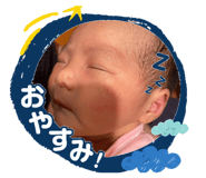816715146