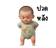 816715354
