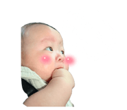 816717330